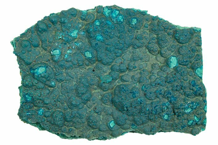 Teal Botryoidal Chrysocolla and Malachite - Chile #310121